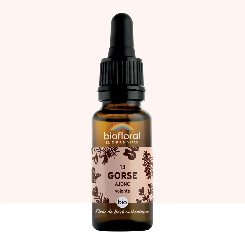13 Gorse, Ajonc Dropper Organic Demeter 20 ML, BIOFLORAL