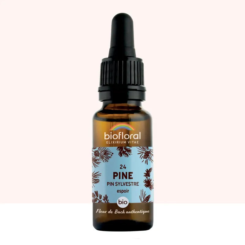 24 Pine, Pin Sylvestre Dropper Organic Demeter 20 ML, BIOFLORAL