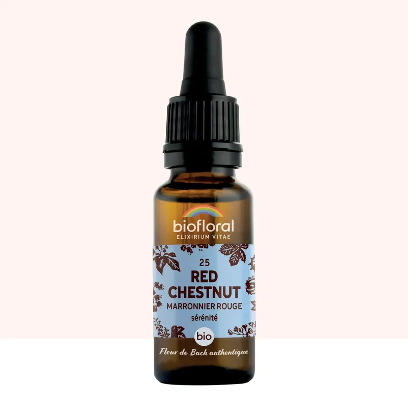 25 Red Chestnut, Red Chestnut Tree Dropper Organic Demeter 2, BIOFLORAL