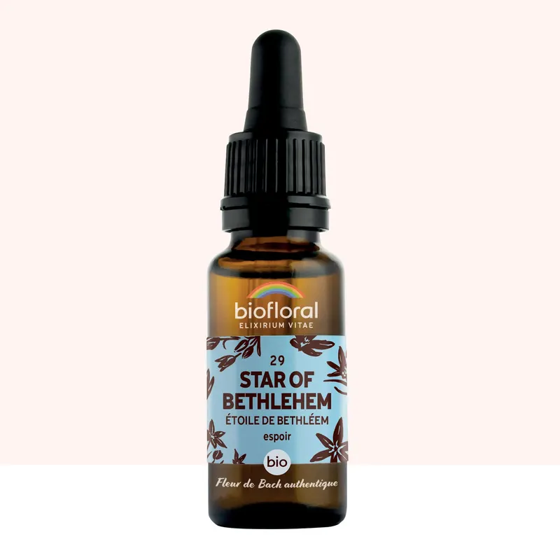 29 Star Of Bethlehem Dropper Organic Demeter 20 ML, BIOFLORAL
