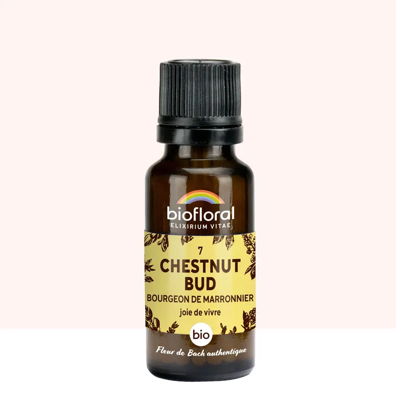 07 Chestnut Bud, Bourgeons Marronnier Granules Organic 19,5 GR, BIOFLORAL