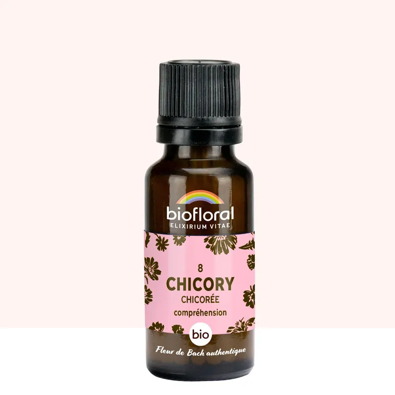 08 Chicory, Chicoree Granules Organic 19,5 GR, BIOFLORAL