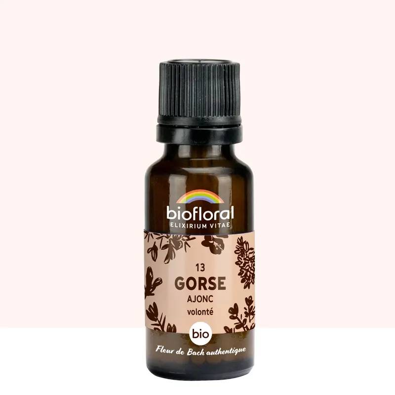 13 Gorse, Ajonc Granules Organic 19,5 GR, BIOFLORAL