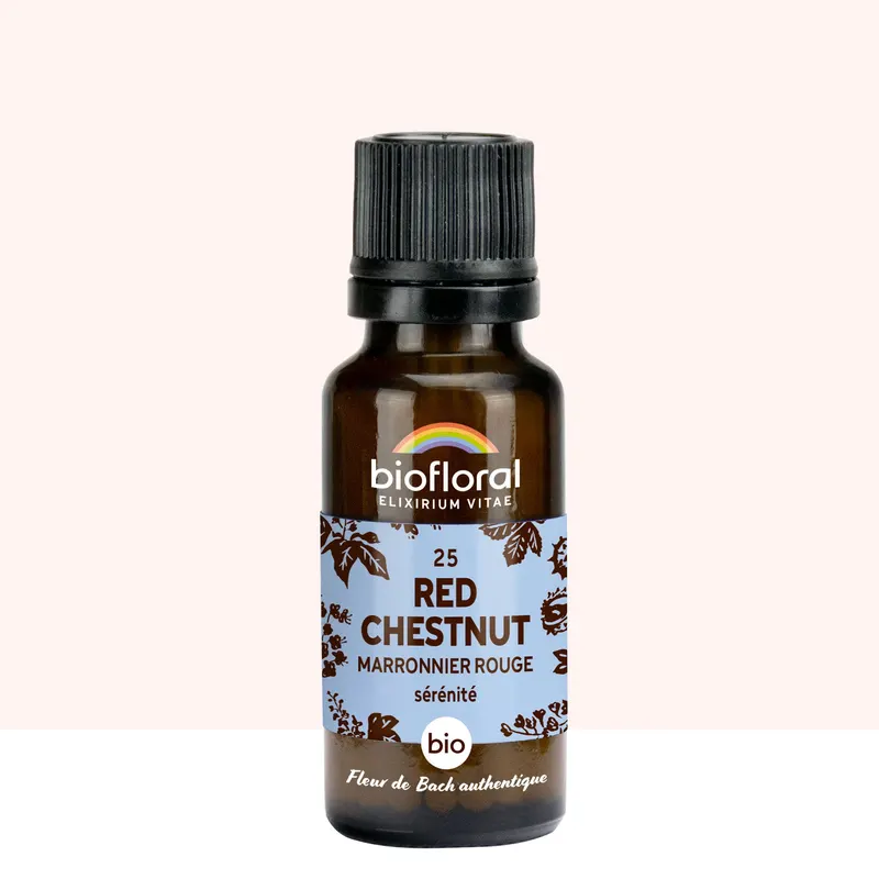 25 Red Chestnut, Marronnier Rouge Granules Organic 19,5 GR, BIOFLORAL