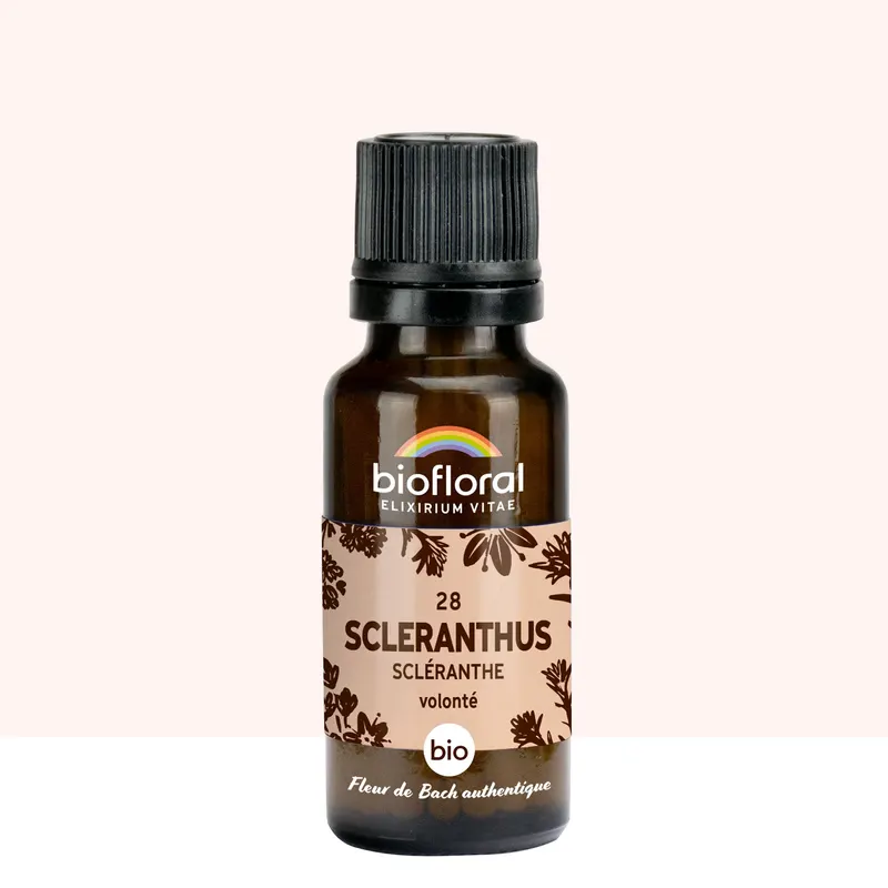 28 Scleranthus, Scleranthe Granules Organic 19,5 GR, BIOFLORAL
