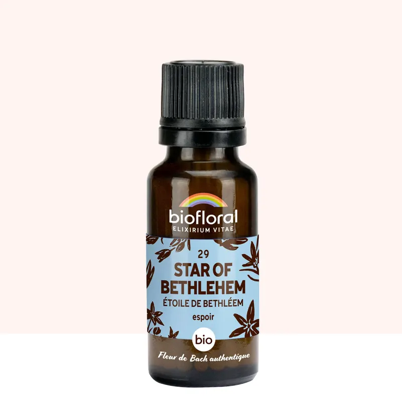 29 Star Of Bethlehem, Etoile De Bethleem Granules Organic 19,5 G, BIOFLORAL