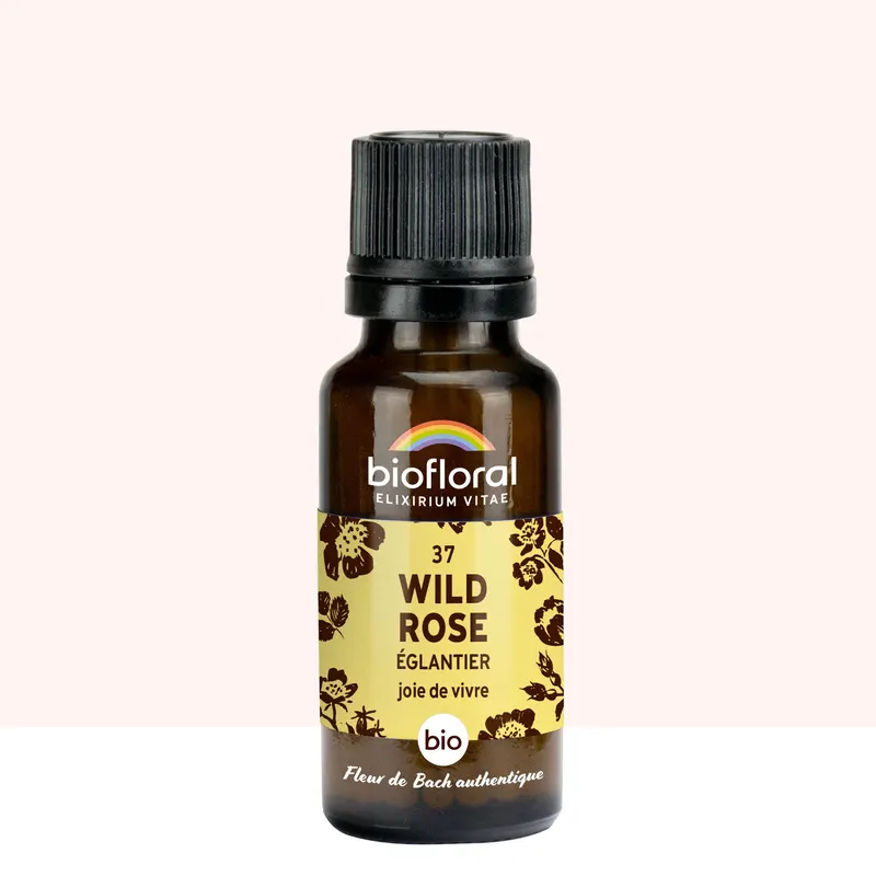37 Wild Rose, Eglantier Granules Organic 19,5 GR, BIOFLORAL