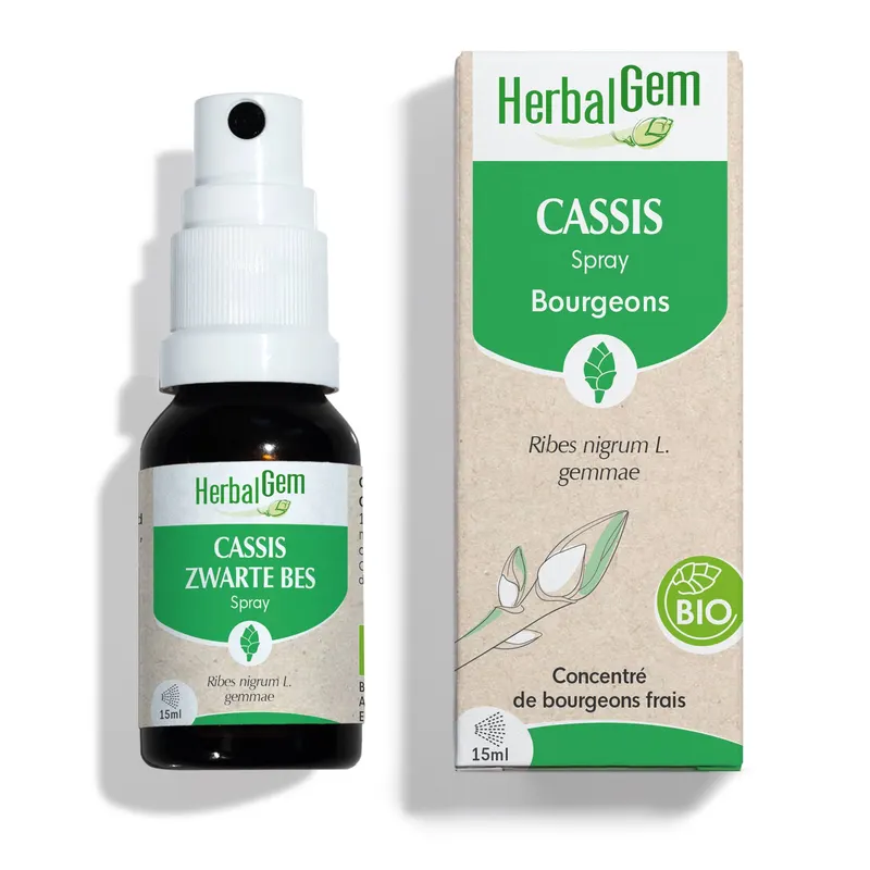 Blackcurrant Spray Organic 15 ML, HERBALGEM