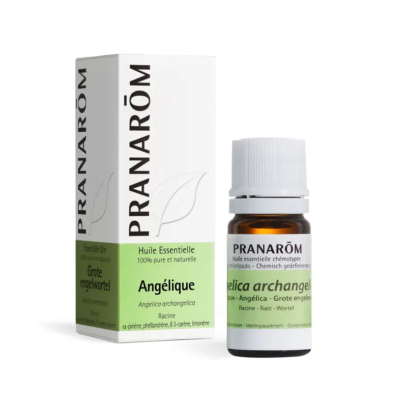 Angelica Root 5 ML, PRANAROM