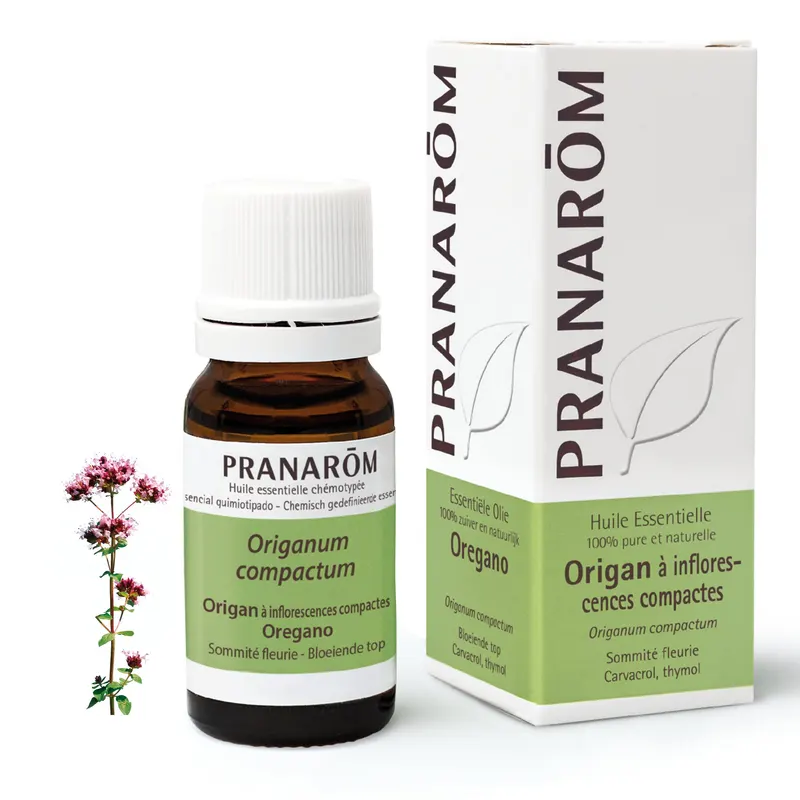 Compact Oregano Flowering Top 10 ML, PRANAROM