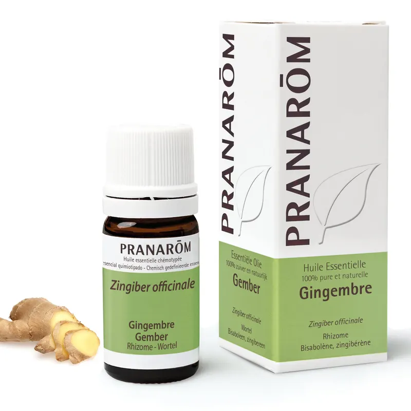Ginger Essential Oil 5 ML FR/NL/ES, PRANAROM
