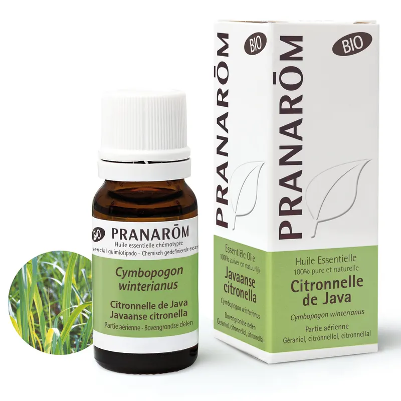 CITRONNELLE DE JAVA PARTIE AERIENNE BIO 10 ML, PRANAROM