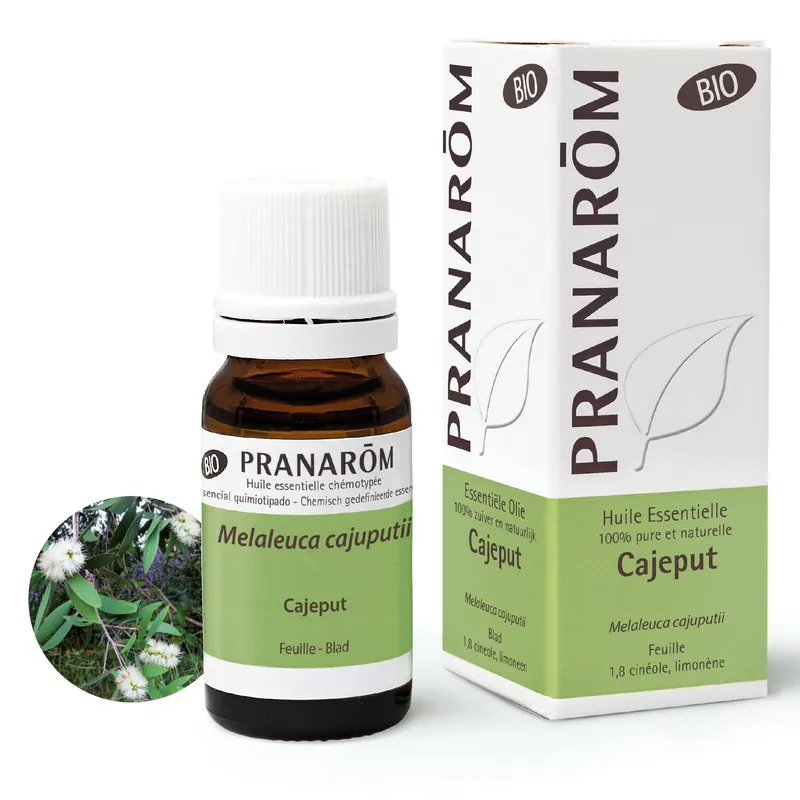 Cajeput Leaf Organic 10 ML, PRANAROM