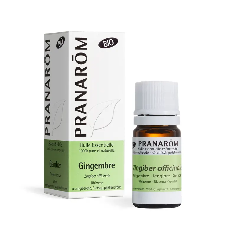 Ginger Rhizome Organic 5 ML, PRANAROM