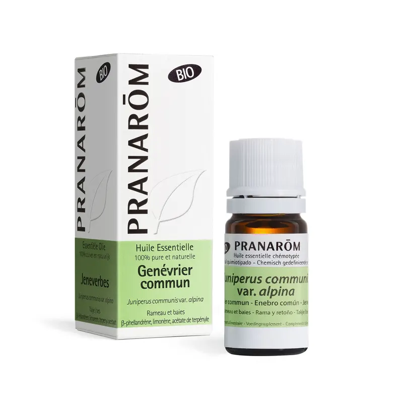 Common Juniper Alpina Twig And Berries Organic 5 ML, PRANAROM