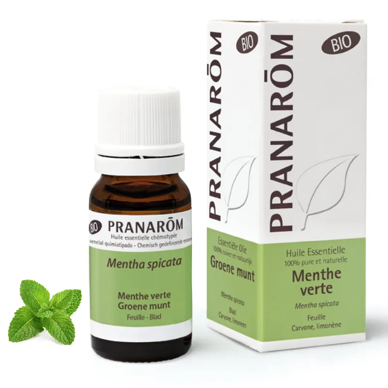MENTHE VERTE PARTIE AERIENNE BIO 10 ML, PRANAROM