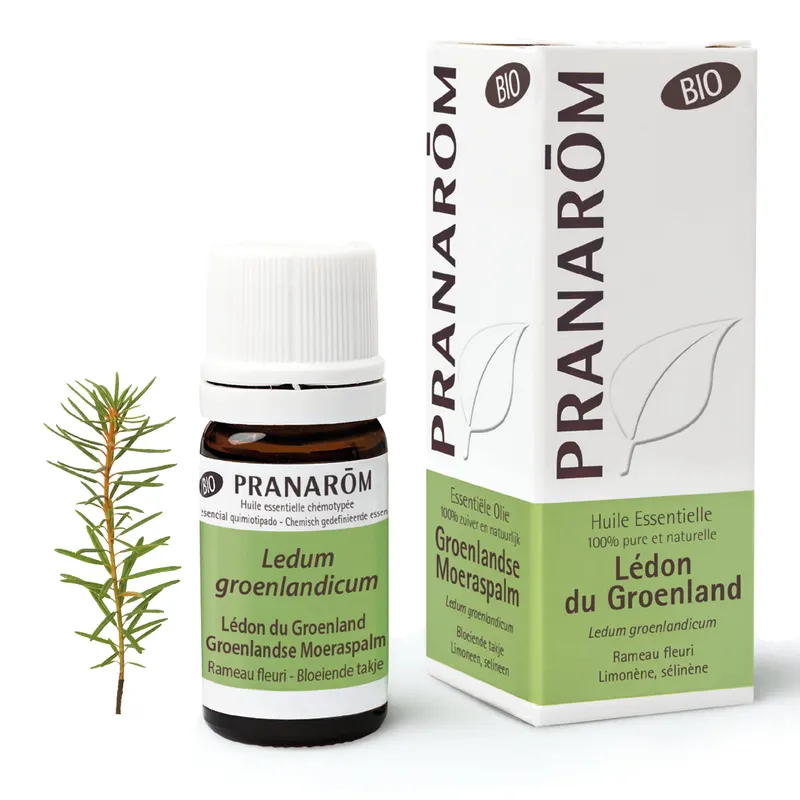 LEDON DU GROENLAND RAMEAU FLEURI BIO 5 ML, PRANAROM