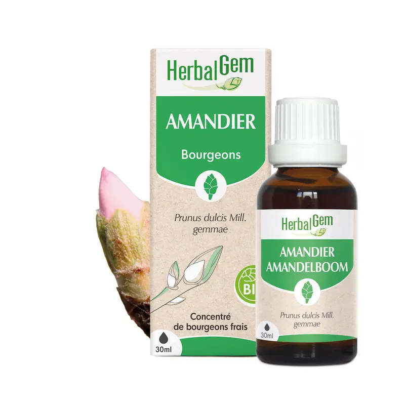 ALMOND TREE Organic 30 ML, HERBALGEM