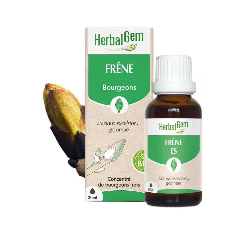 Ash Tree Organic 30 ML, HERBALGEM